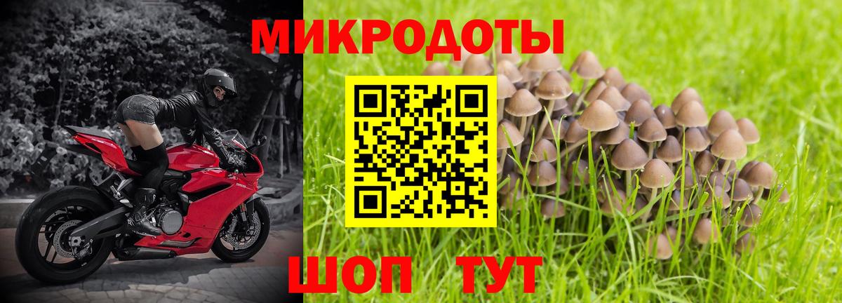 Красноармейск  Галлюциногенные грибы Magic Shrooms  Вход с VPN  Псилоцибиновые грибы мицелий 
