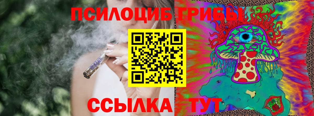 Галлюциногенные грибы Psilocybe Красноармейск